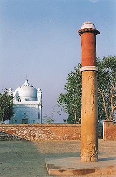 A mosque and a pillar believed to be the Kirti Stambha of Ashoka the Great on the fort